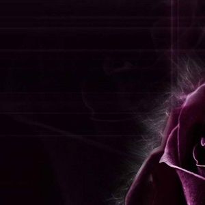 Meet your Posher, Roberta